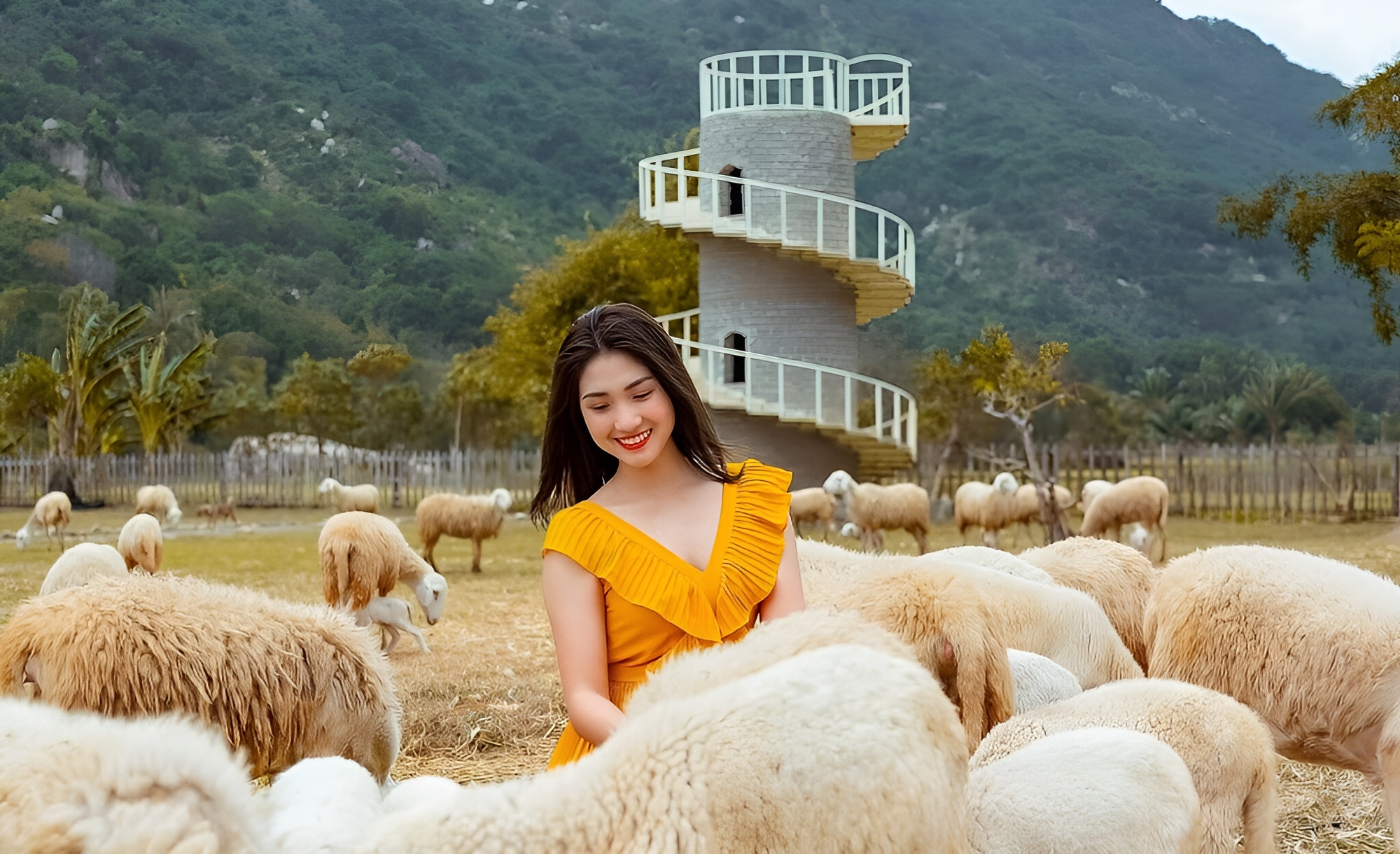 Đồng Cừu Suối Tiên